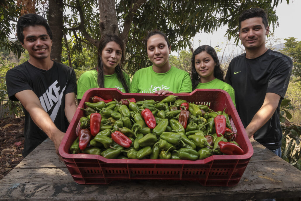 Grupo de jóvenes salvadoreños muestran con orgullo su cosecha de chiles